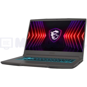 MSI-THIN-B13VE-3023US